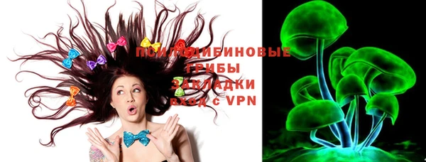 PSILOCYBIN Инсар