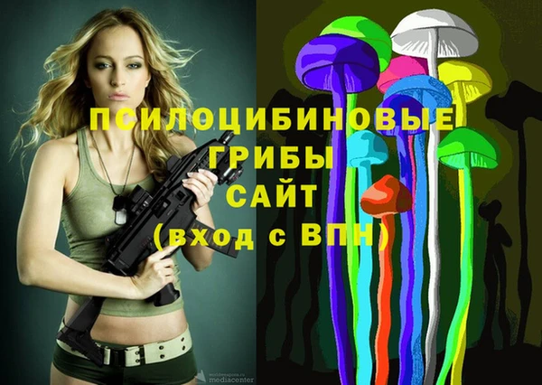 PSILOCYBIN Инсар