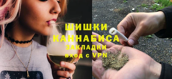 PSILOCYBIN Инсар