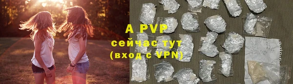 прущая мука Иннополис