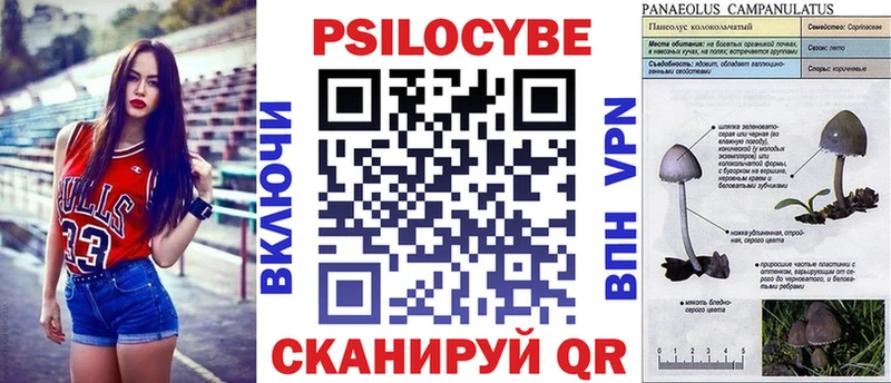 Купить  Трёхгорный  Псилоцибиновые грибы Cubensis 